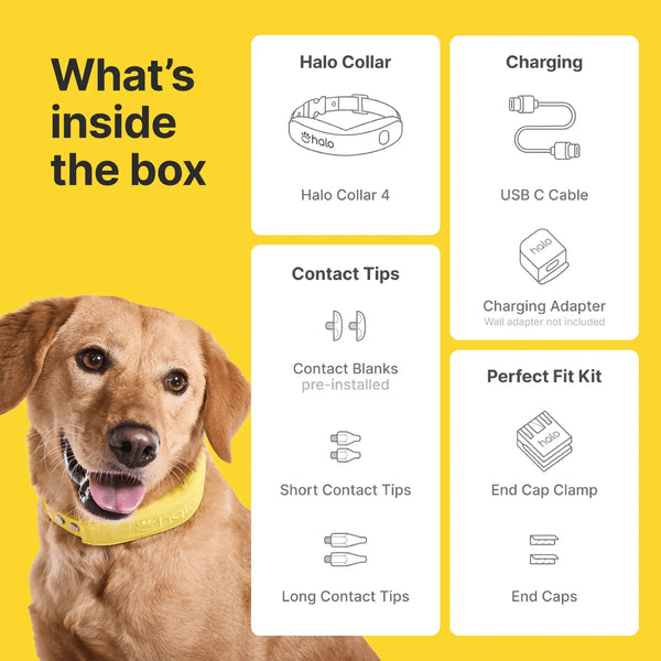 Halo Collar 4 GPS wireless Dog Fence – Wireless, Smart, Orchid Color