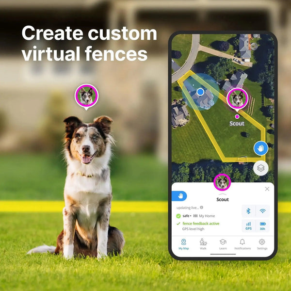 Halo Collar 4 GPS wireless Dog Fence – Wireless, Smart, Orchid Color