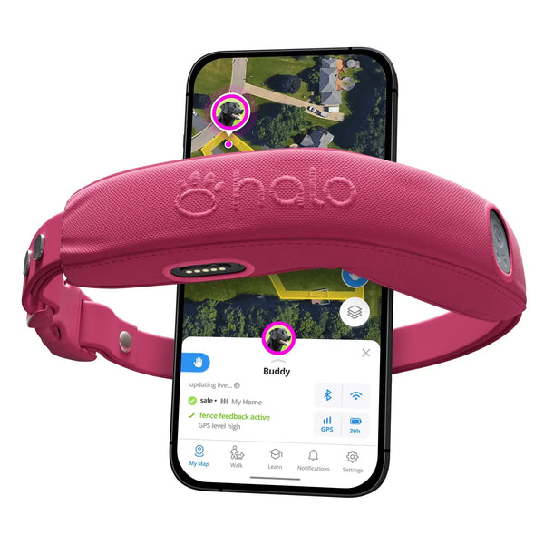 Halo Collar 4 GPS wireless Dog Fence – Wireless, Smart, Orchid Color