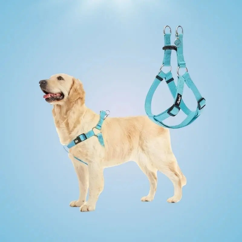 No Pull Adjustable Dog Harness - Fursbliss