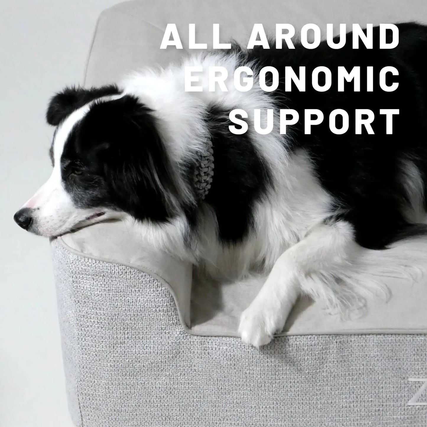 Orthopedic Dog Bed - Fursbliss