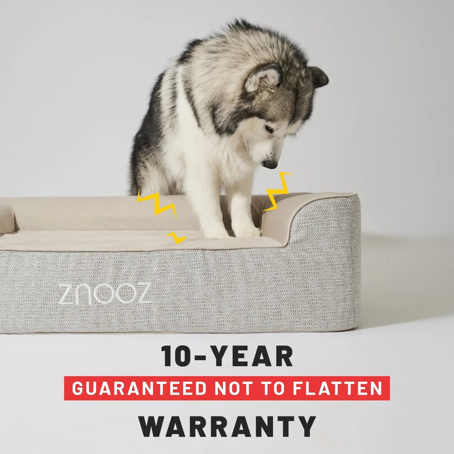 Orthopedic Dog Bed - Fursbliss
