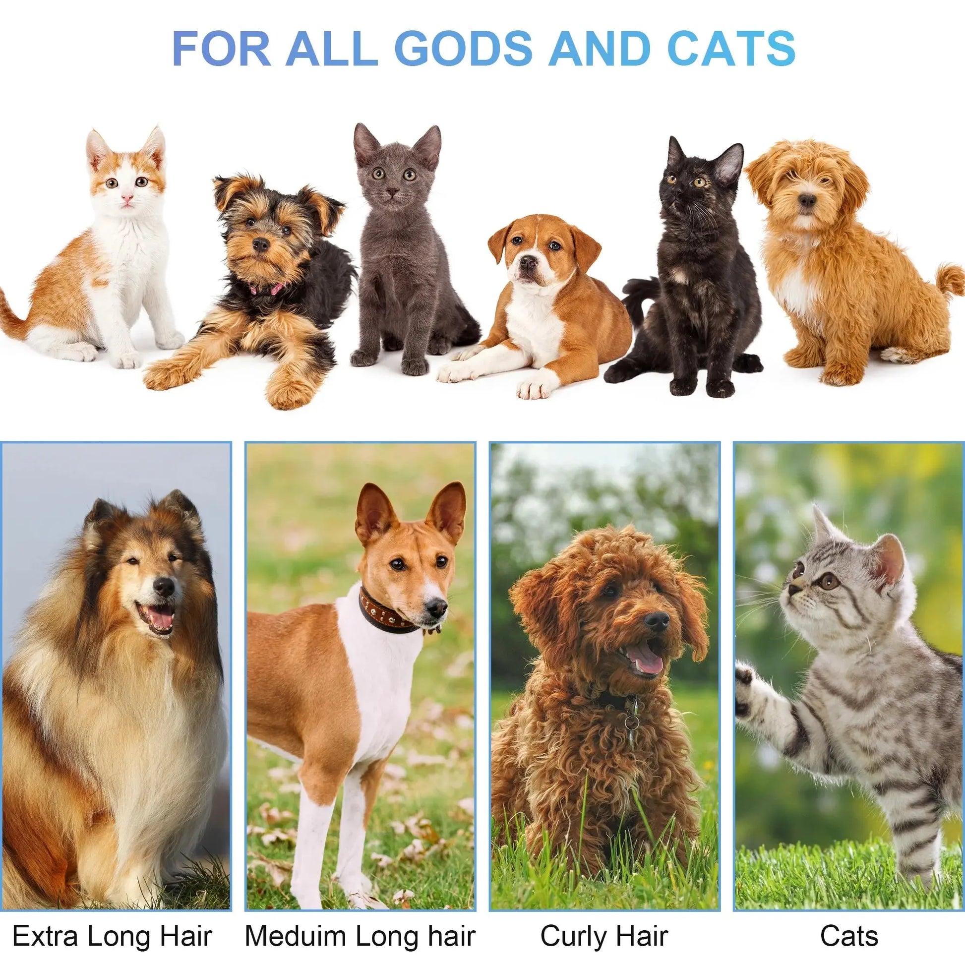 White 14Kpa pet grooming vacuum kit with 5 tools, 3 suction modes, low noise, captures 99% hair – for dogs and cats.