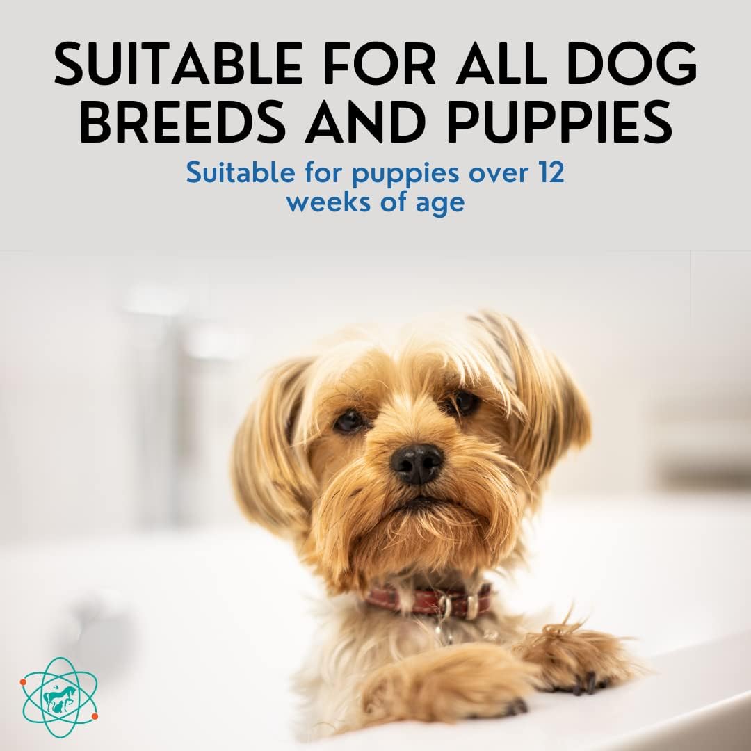 16 Floz 5 in 1 Dog Shampoo for Itchy Skin - Sensitive Skin Dog Shampoo for Smelly Dogs - Dog Shampoos & Conditioners