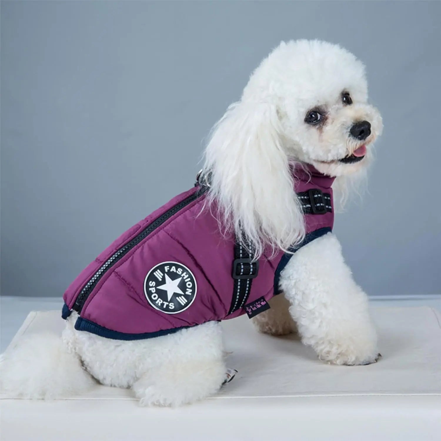 Windproof Dog Harness Coat for Outdoor Winter Walks - Fursbliss