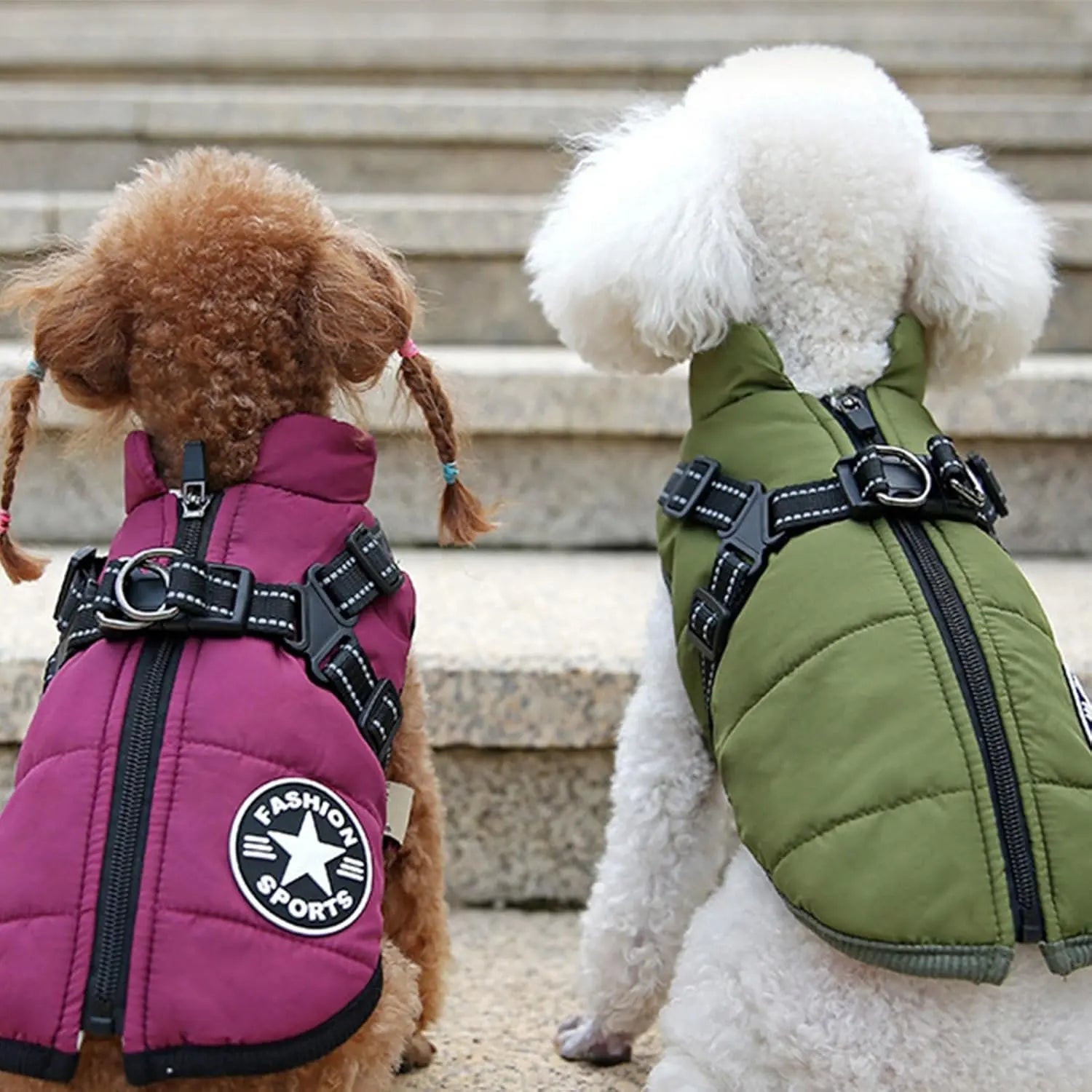 Windproof Dog Harness Coat for Outdoor Winter Walks - Fursbliss