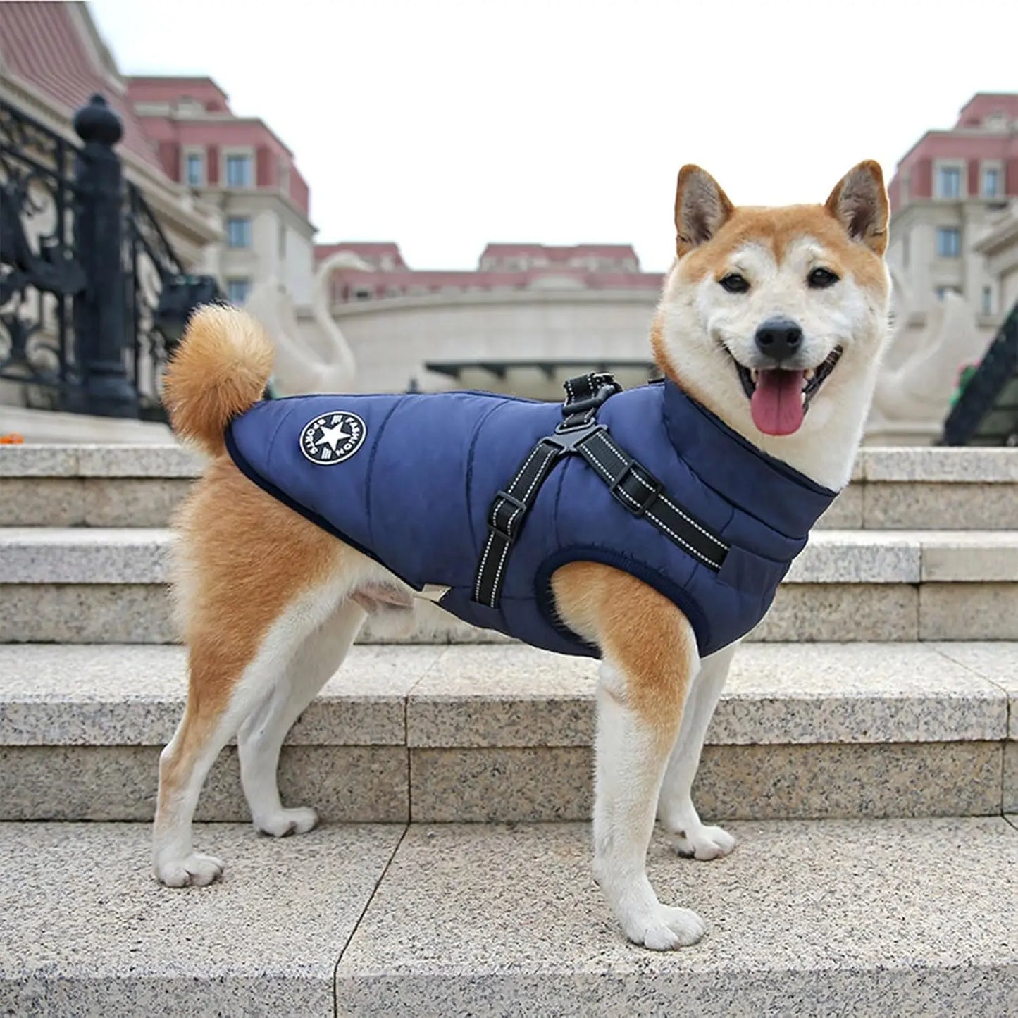 Windproof Dog Harness Coat for Outdoor Winter Walks - Fursbliss