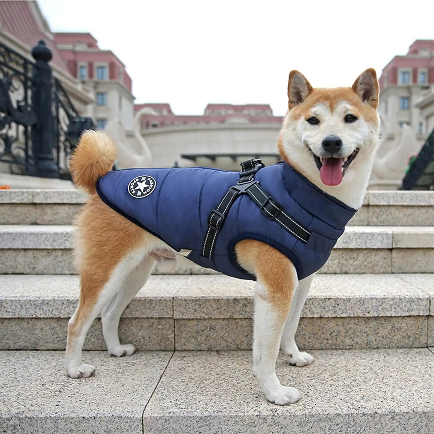 Windproof Dog Harness Coat for Outdoor Winter Walks - Fursbliss