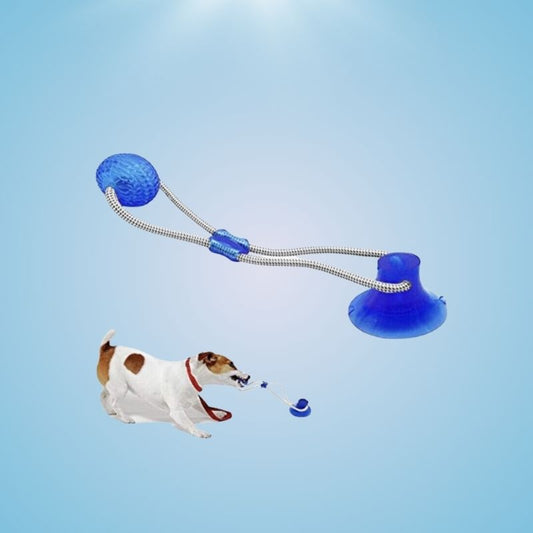 Suction Cup Dog Chew Toy