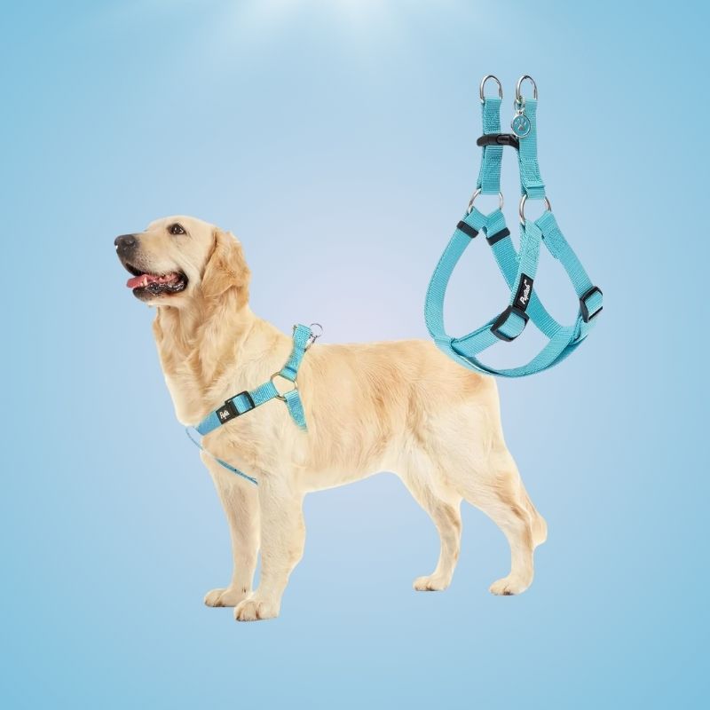 No Pull Adjustable Dog Harness