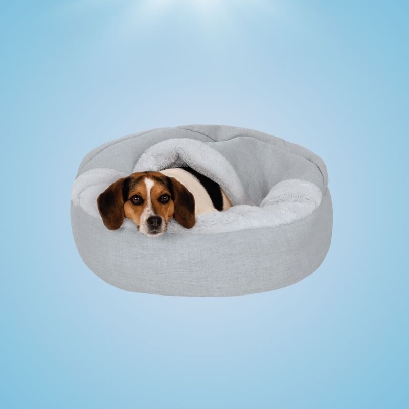 Hooded Donut Pet Plush Bed