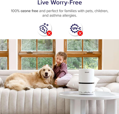 White air purifier for home or office with filter for smoke, dust, pollen; includes night light – Fursbliss LV-H132.