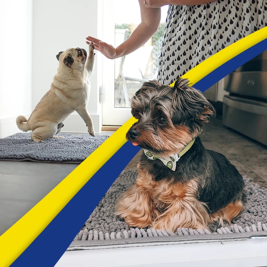 Grey chenille microfiber door mat & pet rug, non-slip, washable, 35”x24” – soft indoor/outdoor mat by Fursbliss.