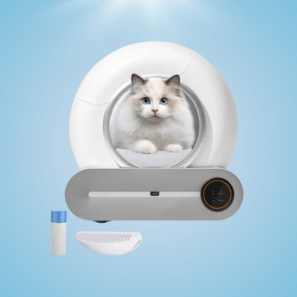 Automatic Smart Self Cleaning Litter Box - Fursbliss