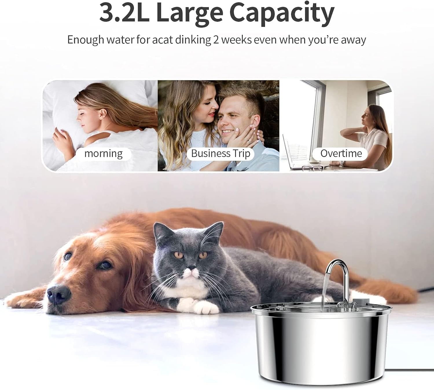 Cat Water Fountain Stainless Ste Cat Fountain for Drinking Large Capacity Pet Water Fountain Cat Feeding & Watering Supplies