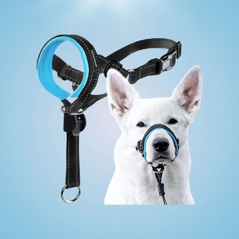 Dog Head Halter with Safety Strap - Fursbliss