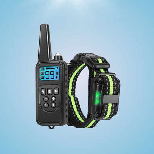 Dog Training Collar with Remote - Fursbliss