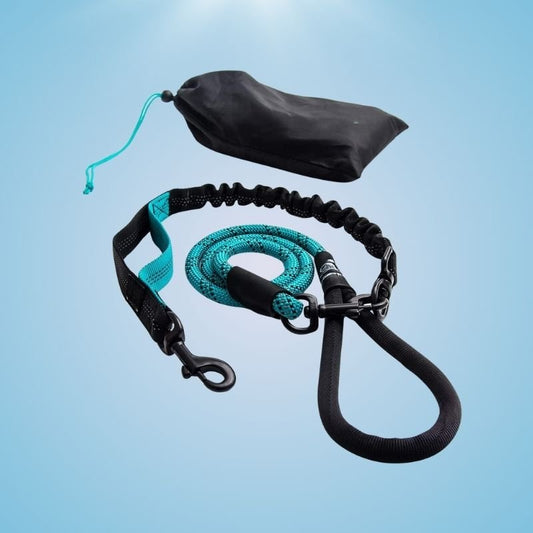 Heavy Duty Anti - Pull Dog Leash - Fursbliss