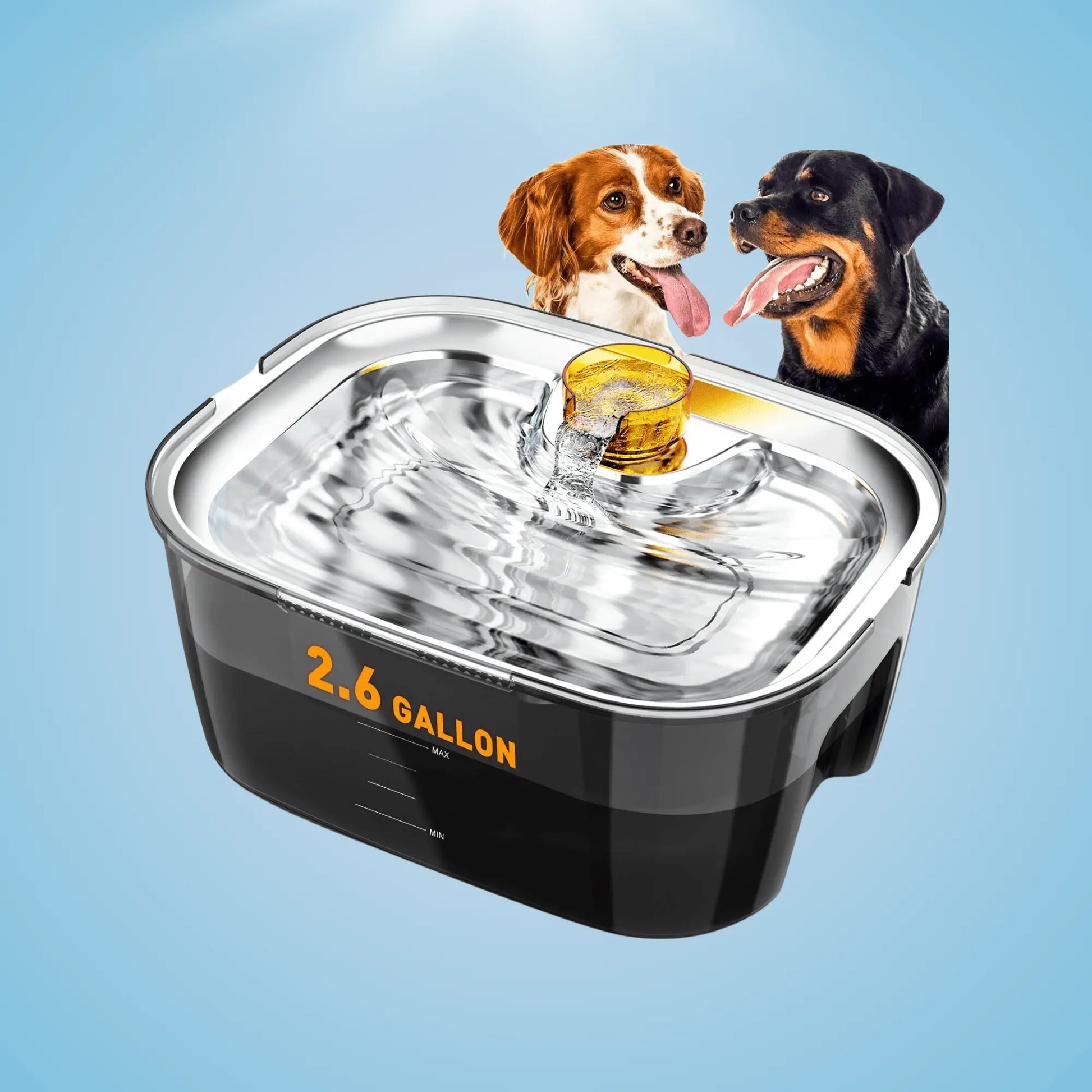 Large Dog Filtered Water Fountain - Fursbliss