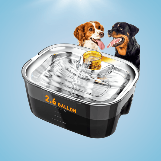 Large Dog Filtered Water Fountain - Fursbliss