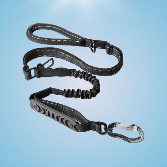 Multifunctional Dog Leash with Seatbelt - Fursbliss