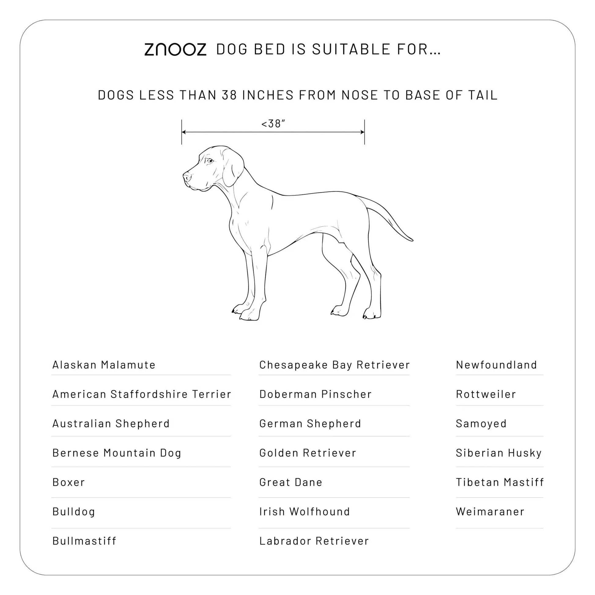Orthopedic Dog Bed - Fursbliss