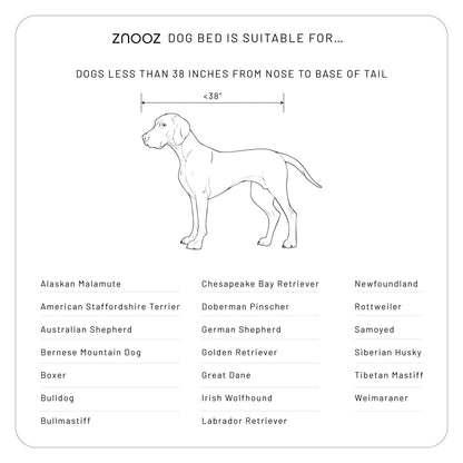 Orthopedic Dog Bed - Fursbliss