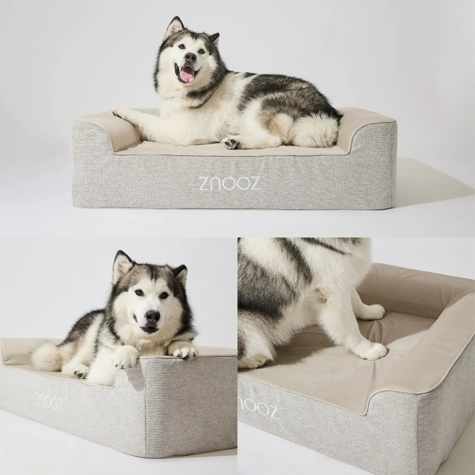 Orthopedic Dog Bed - Fursbliss