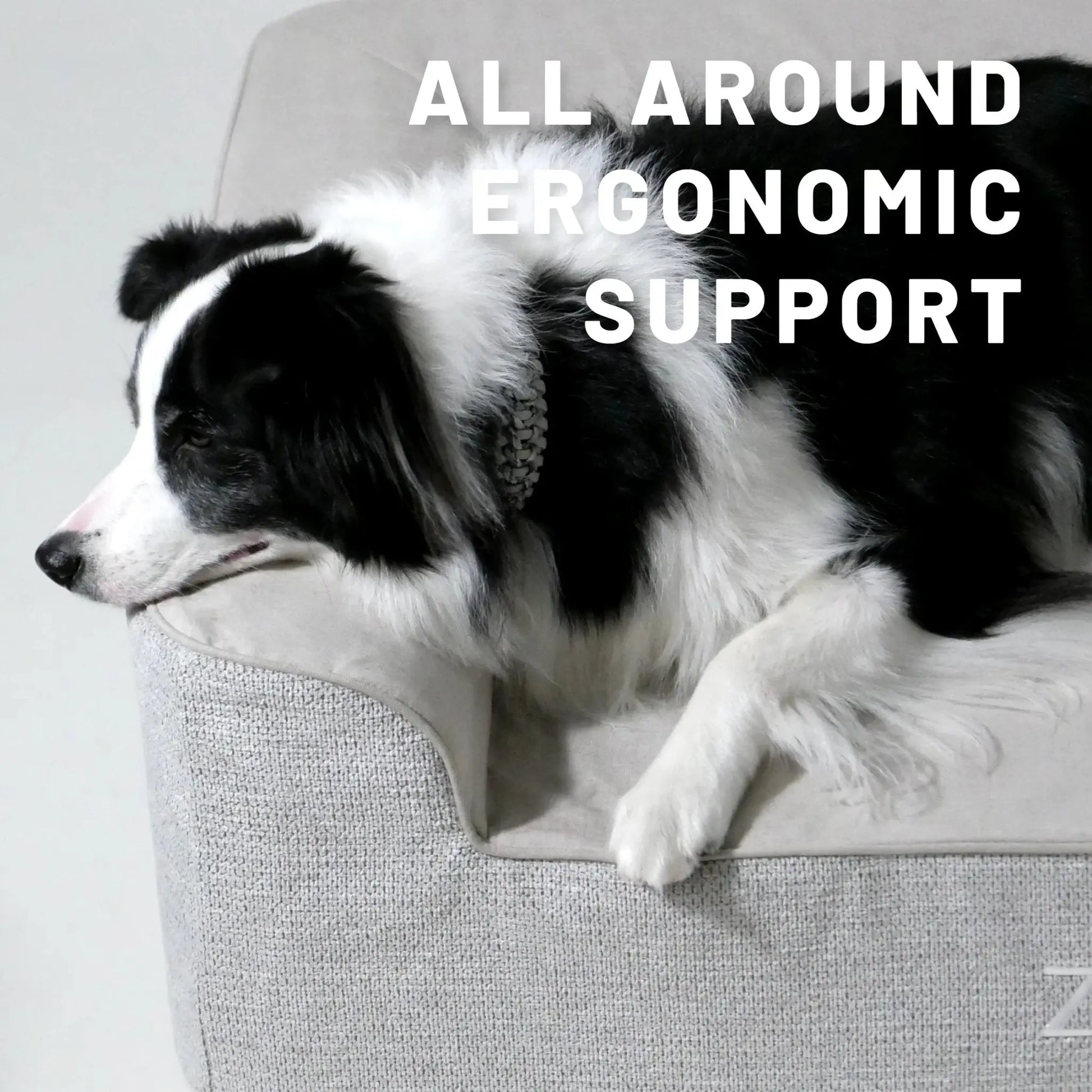Orthopedic Dog Bed - Fursbliss