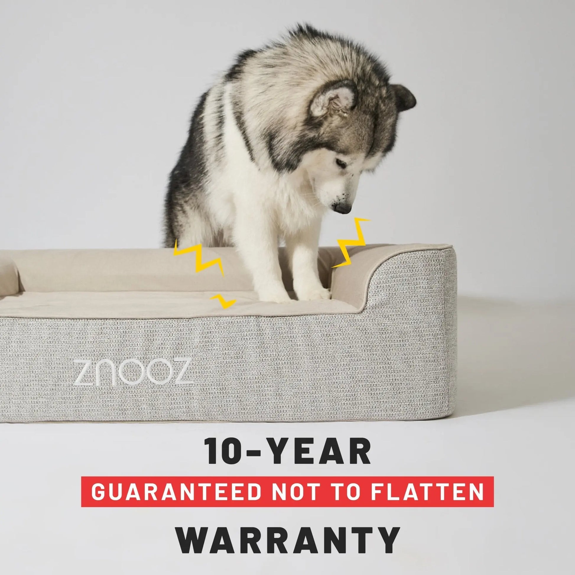 Orthopedic Dog Bed - Fursbliss