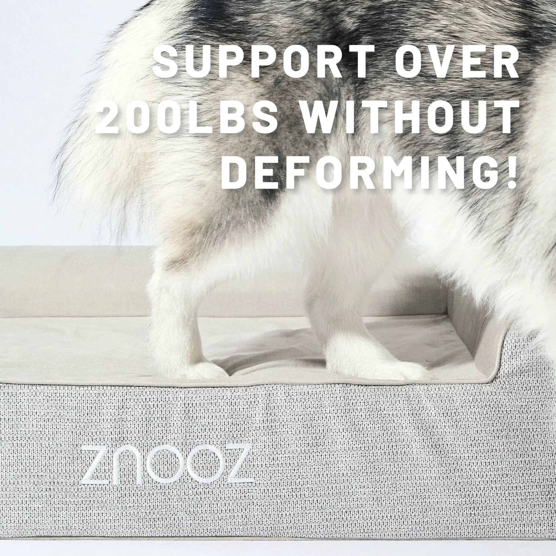 Orthopedic Dog Bed - Fursbliss