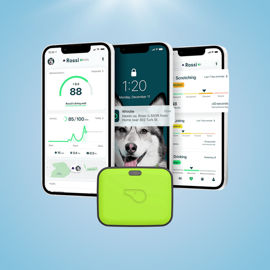 Pet Health GPS Tracker - Fursbliss